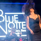 BLUENOTTE 2